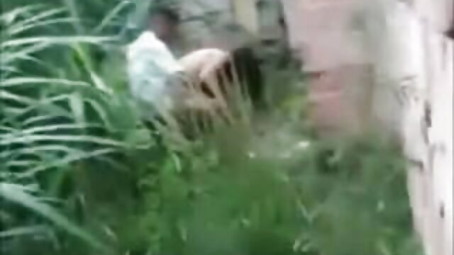 Harti luhur :  Pikeun tunai patani galumbira copulates jeung muhrim dina panonpoé XXX vidéo sawawa 