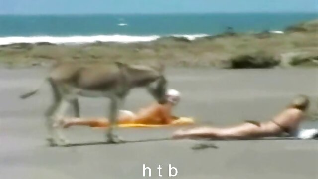 Harti luhur :  A morena gosta de brincar com a buceta e gozar forte XXX vidéo sawawa 